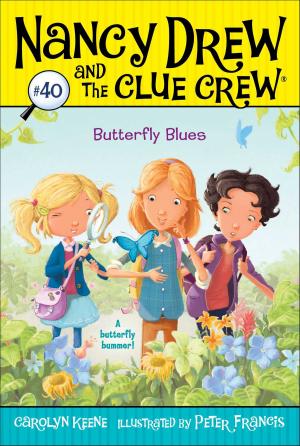 Cover of the book Butterfly Blues by Helen Perelman