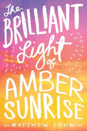 Cover of the book The Brilliant Light of Amber Sunrise by Deb Caletti