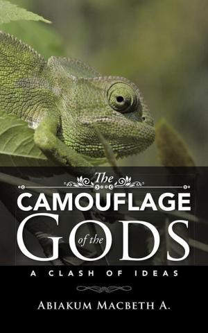 Cover of the book The Camouflage of the Gods by David Fraklyn