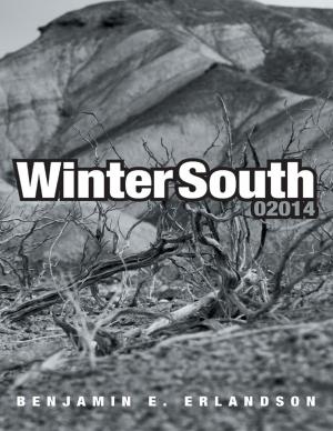 bigCover of the book Winter South 02014 by 