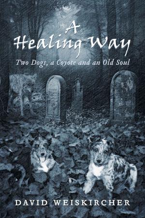 Cover of the book A Healing Way by Dr. Tim Kimmel