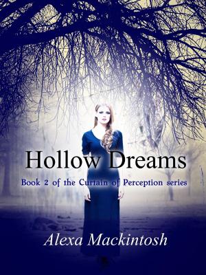bigCover of the book Hollow Dreams by 
