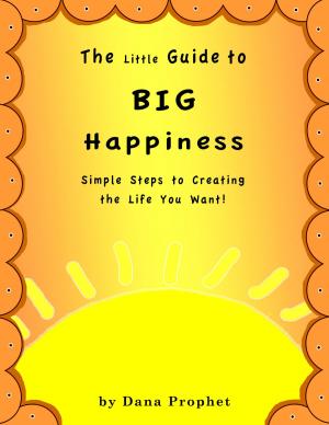 Book cover of The Little Guide to Big Happiness