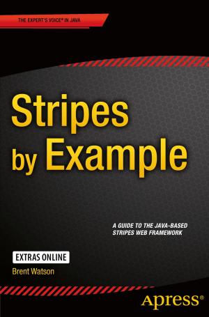 bigCover of the book Stripes by Example by 