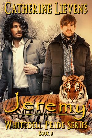 Cover of the book Jeremy by L.J. Collins