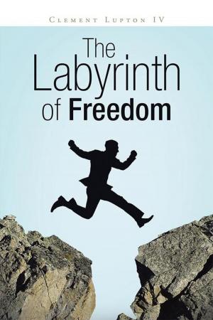 Cover of the book The Labyrinth of Freedom by Yasmin Faruque.
