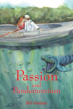 Cover of the book Passion and Pandemonium by Suzan Jennings, John Jennings