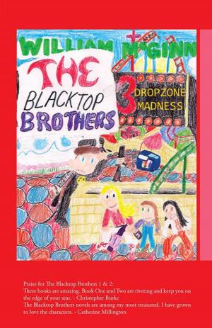bigCover of the book The Blacktop Brothers 3 by 