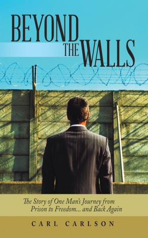 Cover of the book Beyond the Walls by Snott Mukukumira