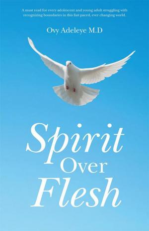 Cover of the book Spirit over Flesh by Janice Stepney Jones