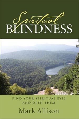 Cover of the book Spiritual Blindness by Teena Hall