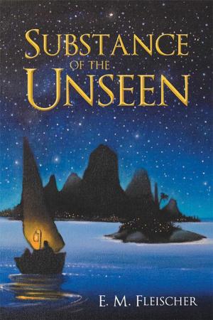 Cover of the book Substance of the Unseen by Frank Jakubowsky
