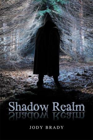 Cover of the book Shadow Realm by M. J. Ferguson