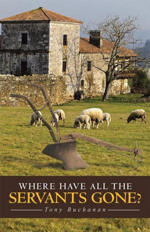 Cover of the book Where Have All the Servants Gone? by T. Faye