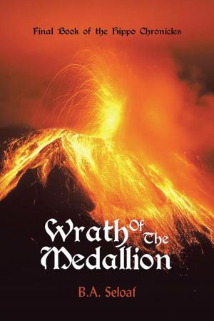 Book cover of Wrath of the Medallion