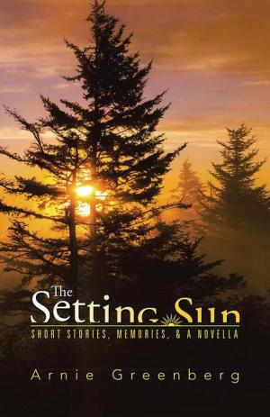Cover of the book The Setting Sun by Gandeto
