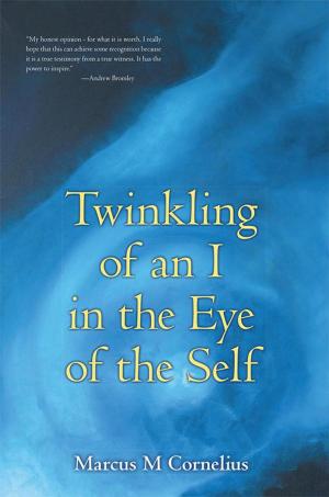Cover of the book Twinkling of an I in the Eye of the Self by Kwame Okoampa-Ahoofe Jr.