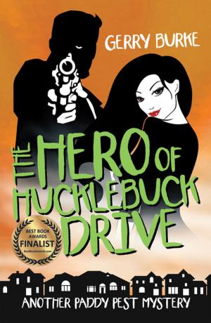 Cover of the book The Hero of Hucklebuck Drive by Jane T. Robe