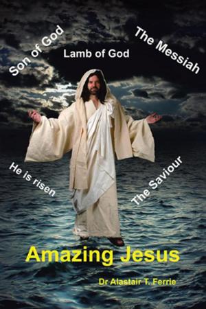 Cover of the book Amazing Jesus by Dennis Richard Proux