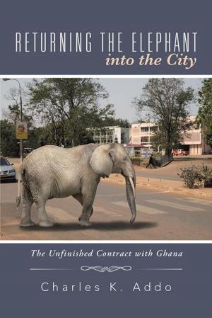 Cover of the book Returning the Elephant into the City by Anne Wilson Schaef PhD DHL