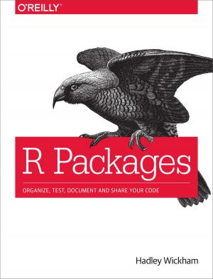 Cover of the book R Packages by Jim Elferdink