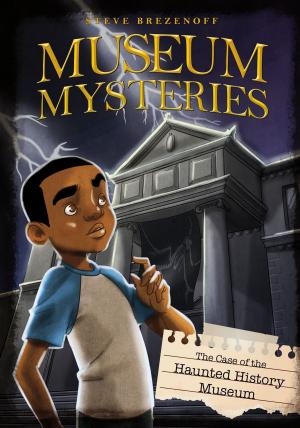 Cover of The Case of the Haunted History Museum by Steve Brezenoff, Capstone