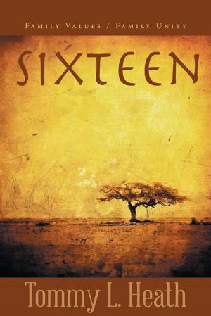 Cover of the book Sixteen by Dr. Jacqueline DeLaney