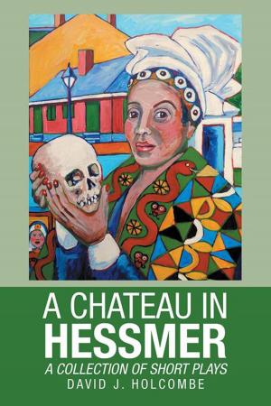 Cover of the book A Chateau in Hessmer by Tracy Roberts