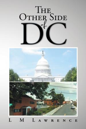 Cover of the book The Other Side of Dc by Karen S. Lightfoot