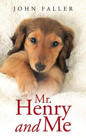 Cover of the book Mr. Henry and Me by Johnta Knight
