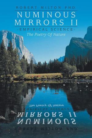 Cover of the book Numinous Mirrors Ii by Tia Greenfield