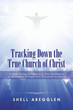 Cover of the book Tracking Down the True Church of Christ by Geoff Peterson