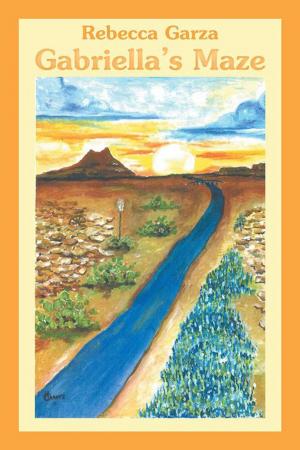 Cover of the book Gabriella’S Maze by Nick Morgan