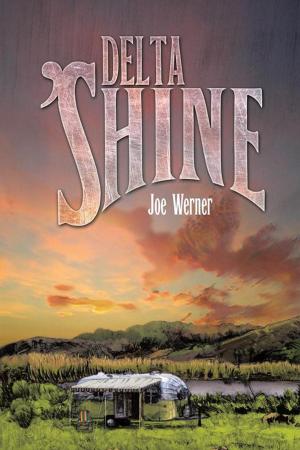 Cover of the book Delta 'Shine by B. A. Fegles