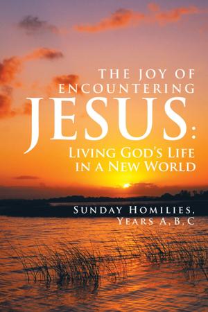 Cover of the book The Joy of Encountering Jesus: by Trenessa Karen