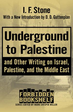 Cover of the book Underground to Palestine by Richard Hammer