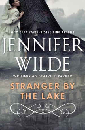 bigCover of the book Stranger by the Lake by 