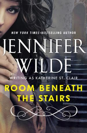 Cover of the book Room Beneath the Stairs by Laura Rae Amos