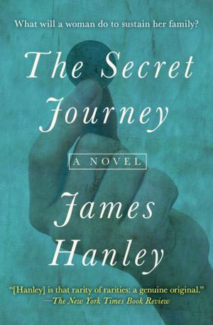 Cover of the book The Secret Journey by Susan Price