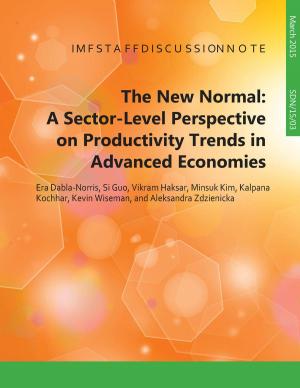 Cover of the book The New Normal: A Sector-level Perspective on Productivity Trends in Advanced Economies by International Monetary Fund. African Dept.