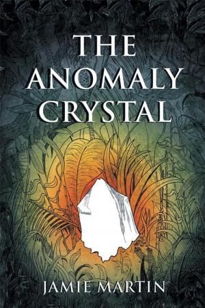 Cover of the book The Anomaly Crystal by H. Benarrosh