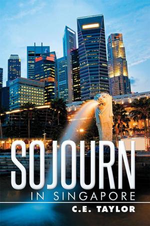 Cover of the book Sojourn in Singapore by Janet Tyers