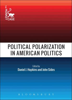 Cover of the book Political Polarization in American Politics by Professor Roni Natov