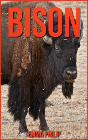 Book cover of Bison