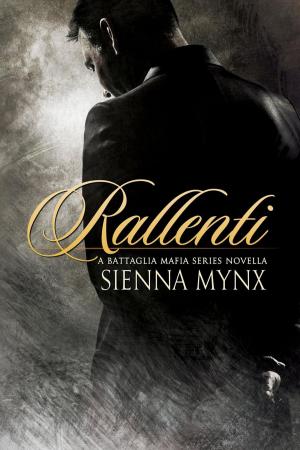 Cover of the book Rallenti by Katia Lief