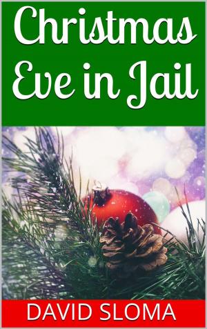 Cover of the book Christmas Eve in Jail by J.F. Monari