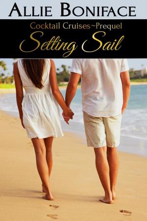 Cover of the book Setting Sail (Cocktail Cruise Prequel) by Aliyah Burke