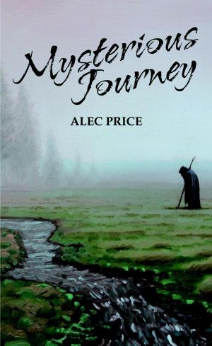 Cover of Mysterious Journey