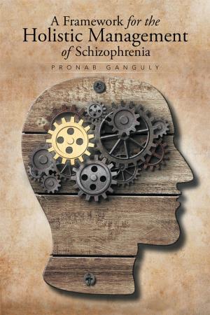 Cover of the book A Framework for the Holistic Management of Schizophrenia by T. J. Walker