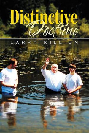 Cover of the book Distinctive Doctrine by Patrick Oben